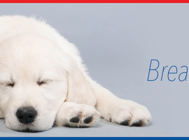 Improve Indoor Air Quality
