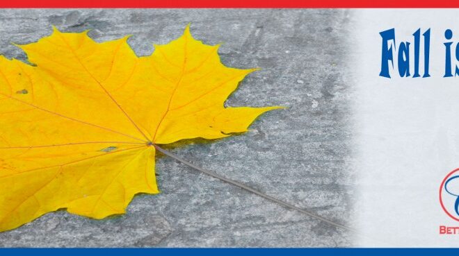 Fall-is-in-the-air-8-1184x369