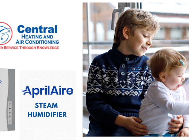 Steam-humidifier